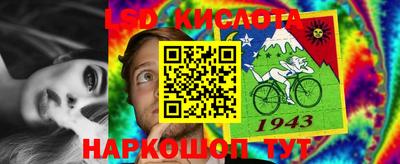 ешки Будённовск