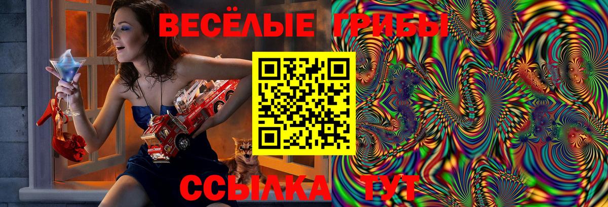 Люберцы  Галлюциногенные грибы мухоморы  Вход с VPN  Псилоцибиновые грибы Psilocybe 